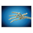 Buscar hueso humano postales 3d