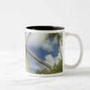 Buscar barbados tazas Tropical