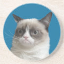 Buscar gruñón posavasos Gato