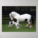 Buscar caballo gitano posters Corriendo