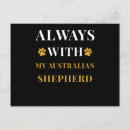 Buscar australian postales Pastor australiano