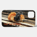 Buscar cutie electronica Gatito