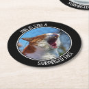 Buscar meme posavasos Meme de gato