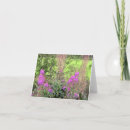 Buscar brezo tarjetas Morado