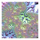 Buscar acid arte Brillante