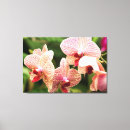 Buscar cabeza de flor lienzos Naturaleza