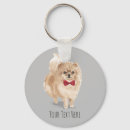 Buscar pomeranian accesorios Lindo