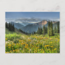 Buscar silverton Naturaleza