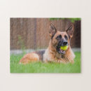 Buscar pelota de tenis puzzles Cachorro