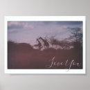 Buscar sabana africana posters Jirafa