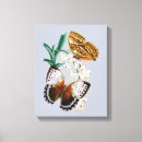 Buscar mariposas hermosas lienzos Para todos