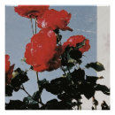 Buscar flores azules posters Cielo azul