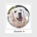 Buscar perros manualidades Para ella