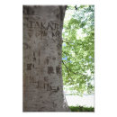 Buscar esculpido posters Árbol