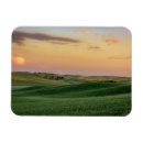 Buscar trigo imanes Campo