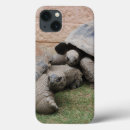 Buscar tortuga ipad fundas Grande