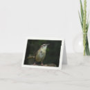 Buscar wren tarjetas Saludo