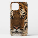 Buscar fauna iphone fundas Mamífero