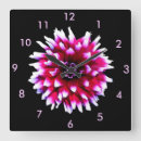 Buscar dalia relojes de pared Rosa