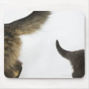Buscar gatito alfombrillas de raton Naturaleza