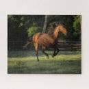 Buscar andaluz puzzles Bob langrish