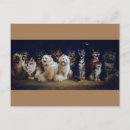 Buscar villancicos postales Gato