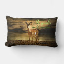 Buscar impala cojines África