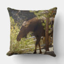 Buscar alces cojines Vida silvestre