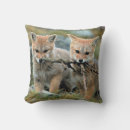 Buscar zorro rojo cojines Bebé