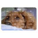 Buscar large imanes Cachorro
