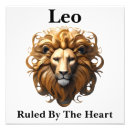 Buscar leo fotografía Zodiaco
