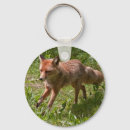 Buscar zorro llaveros General y unisex