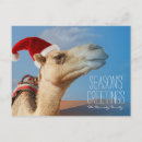 Buscar tierra santa postales Humor