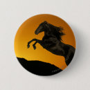 Buscar silueta del caballo chapas Ecuestre