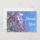 Buscar jacaranda tarjetas Púrpura