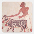 Buscar sacrificios postales Animal