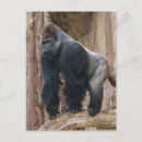 Buscar respaldo postales Para todos