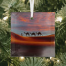 Buscar dunas adornos Naturaleza