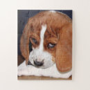 Buscar peludo puzzles Joven