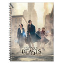 Buscar bromas cuadernos Mago