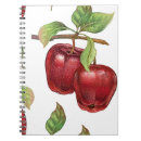 Buscar manzanas rojas cuadernos Para todos