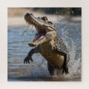 Buscar cocodrilo puzzles Reptil