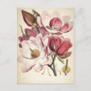Buscar colecciones postales Flor
