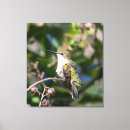 Buscar cumpleaños lienzos Único