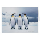 Buscar tres reyes postales Animales