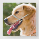 Buscar smile relojes de pared Puppy