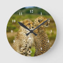 Buscar acinonyx arte Vida silvestre