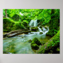 Buscar cascada del bosque posters Lago