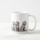 Buscar perrito dálmata tazas Perritos