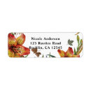 Buscar caer etiquetas 5 º ducha